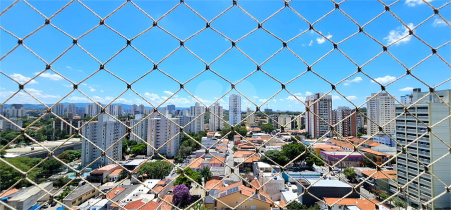 Foto REO123362