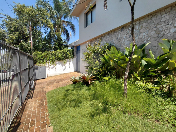 Foto REO124239