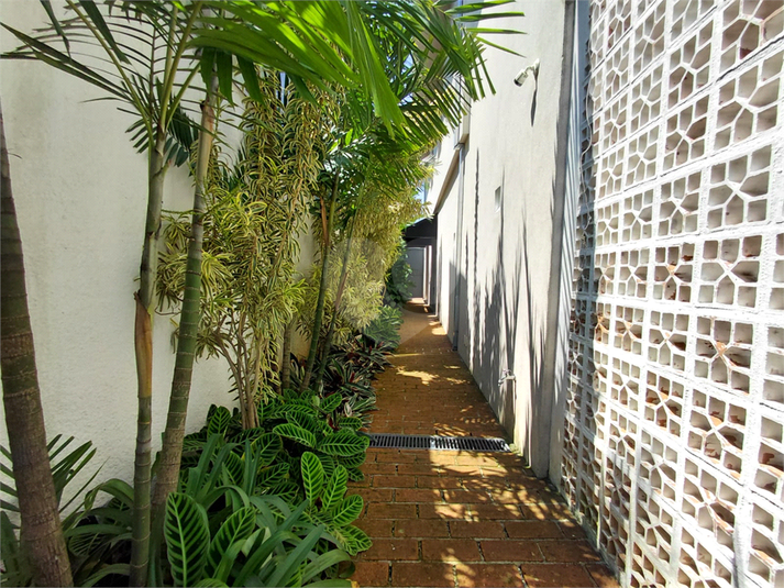 Foto REO124239