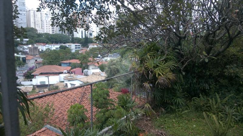 Foto REO124552