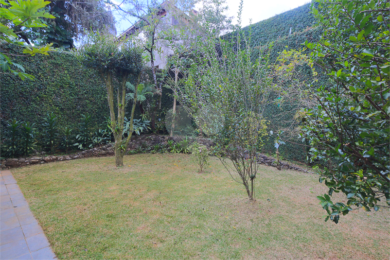 Foto REO124634