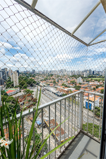 Foto REO124687