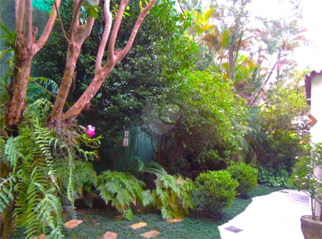 Foto REO125641
