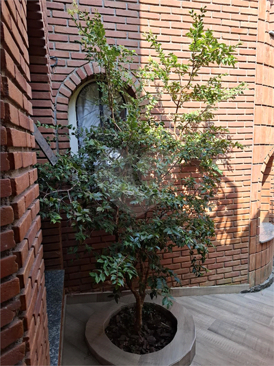 Foto REO126136