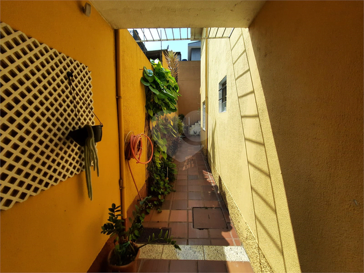 Foto REO127531