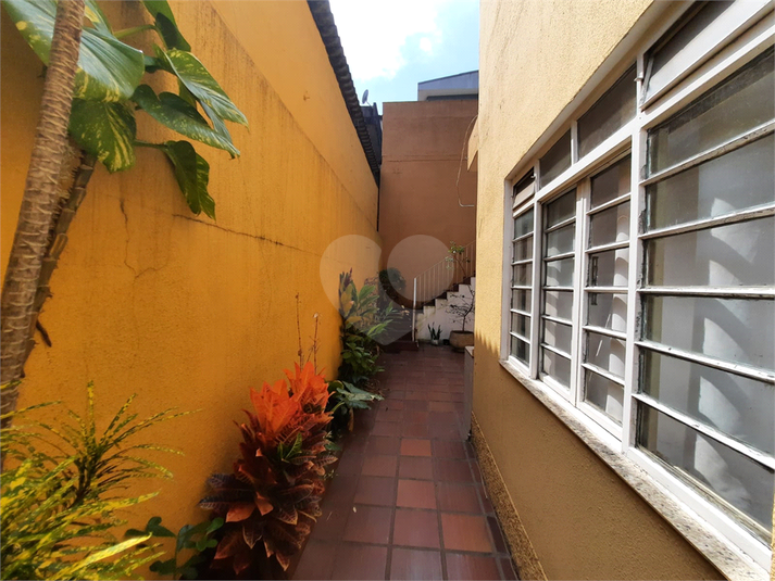 Foto REO127531