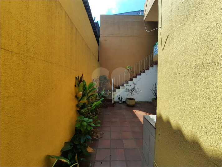 Foto REO127531