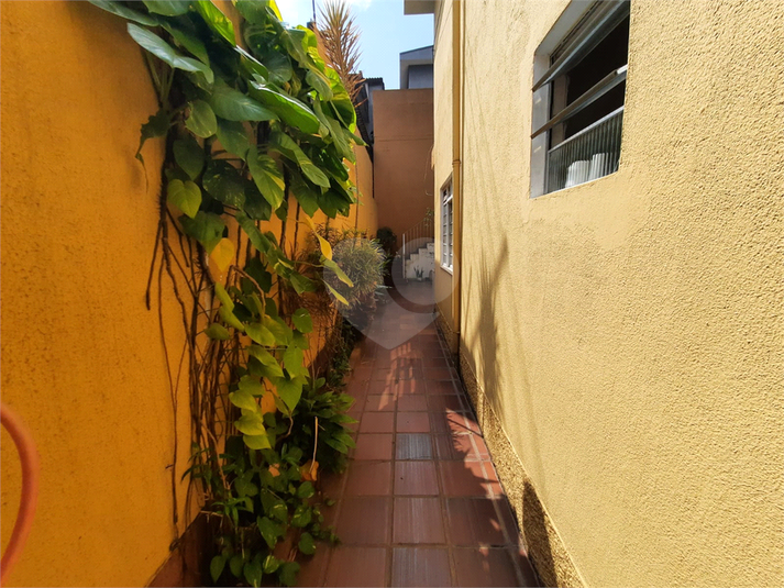 Foto REO127531