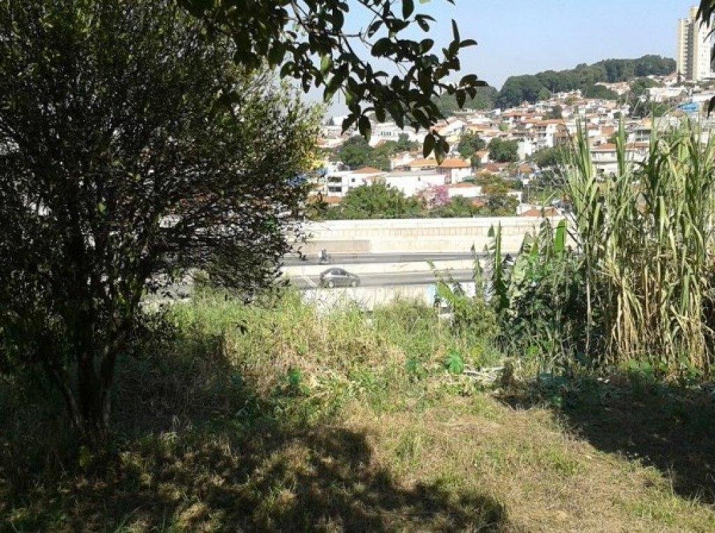 Venda Terreno São Paulo Parque São Domingos REO12766 6