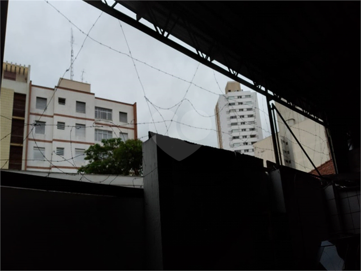 Foto REO12826