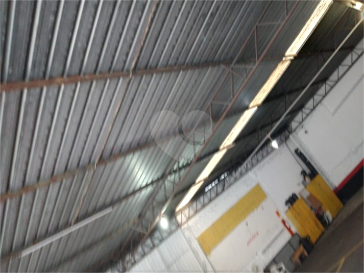 Foto REO12826