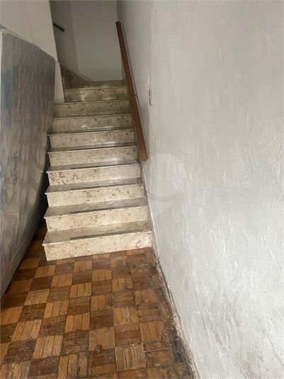 Foto REO128337