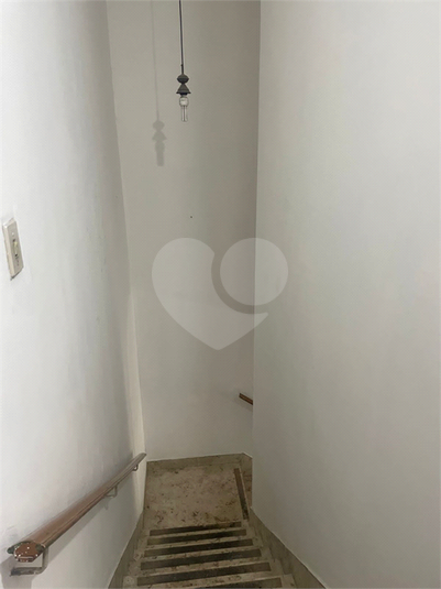 Foto REO128337