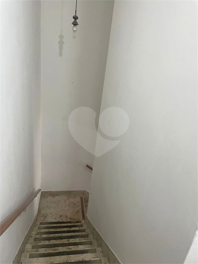 Foto REO128337