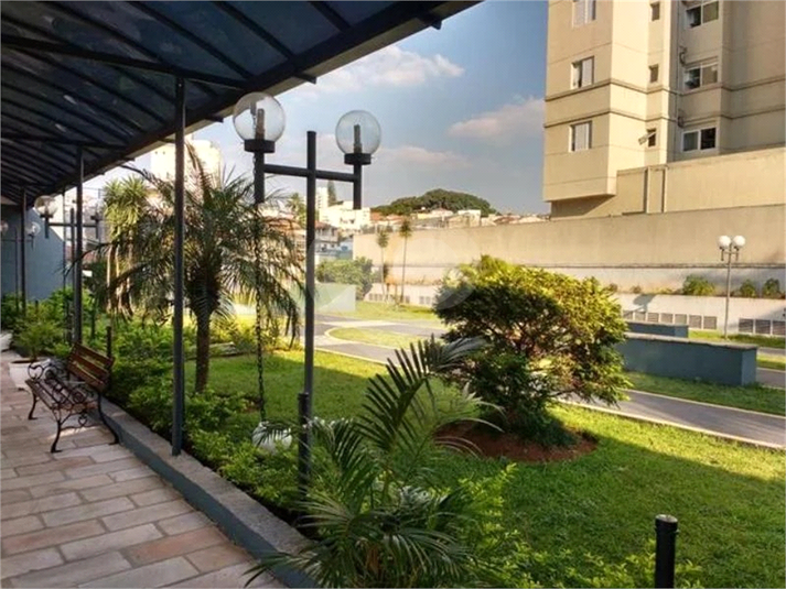Foto REO128974