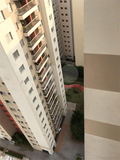 Foto REO129350