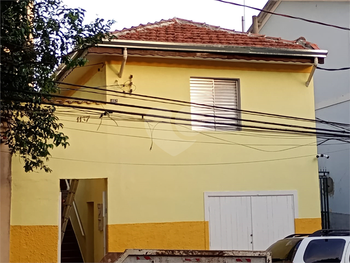 Foto REO130288