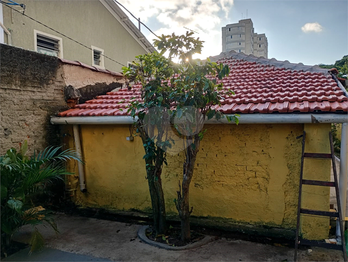 Foto REO130288