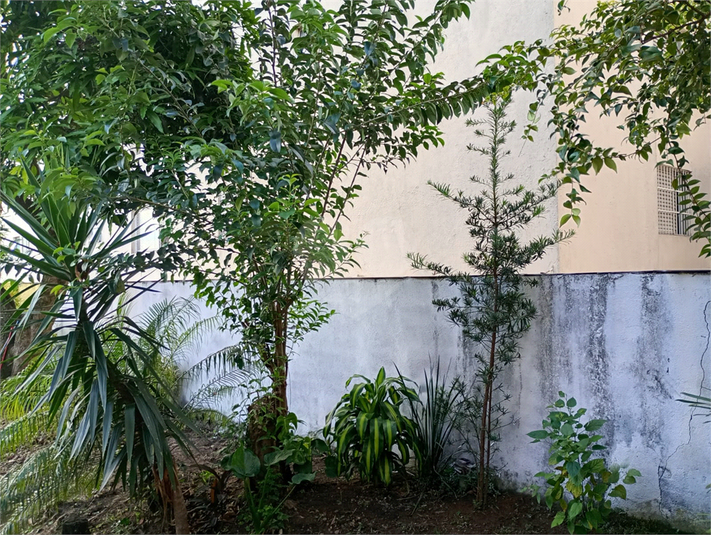 Foto REO130288