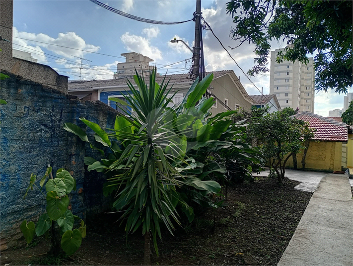 Foto REO130288