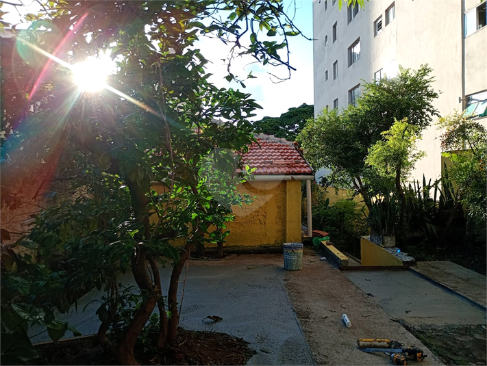 Foto REO130288
