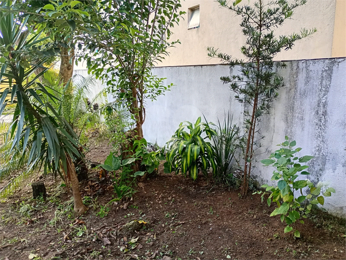 Foto REO130288