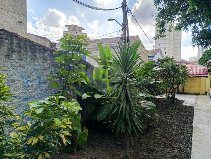 Foto REO130288