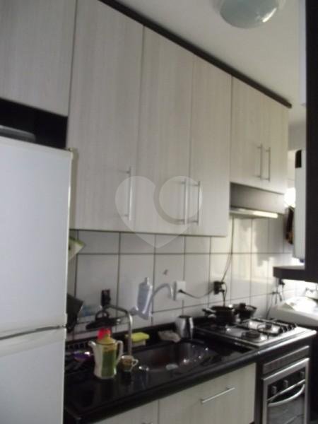 Venda Apartamento São Paulo Jardim Maristela REO13030 6