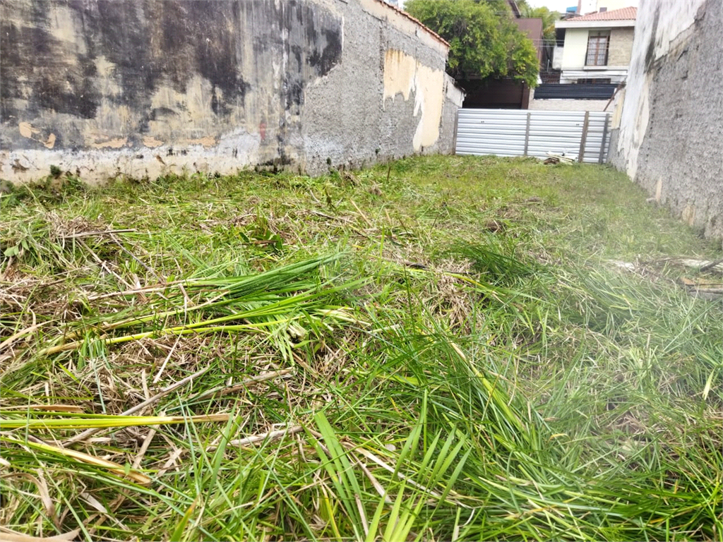 Venda Terreno São Paulo Vila Ipojuca REO130987 3