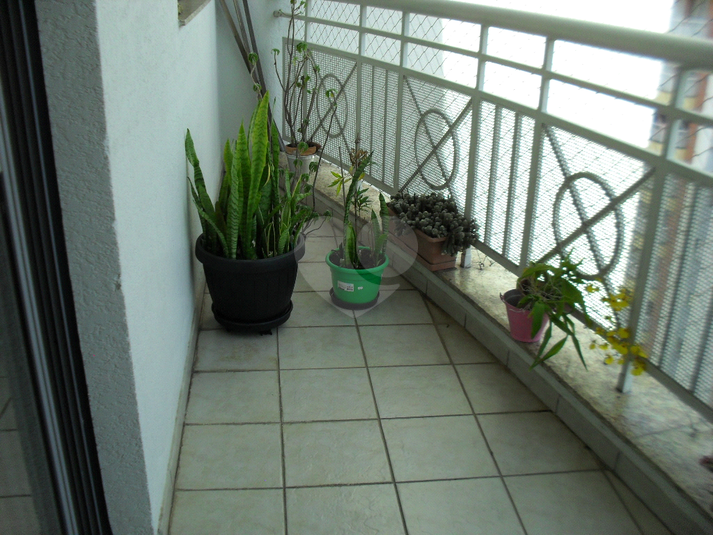 Foto REO131513