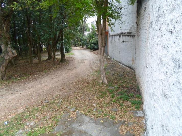 Foto REO131755