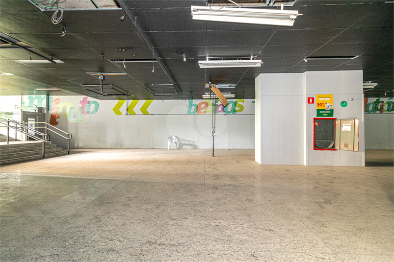 Foto REO131936
