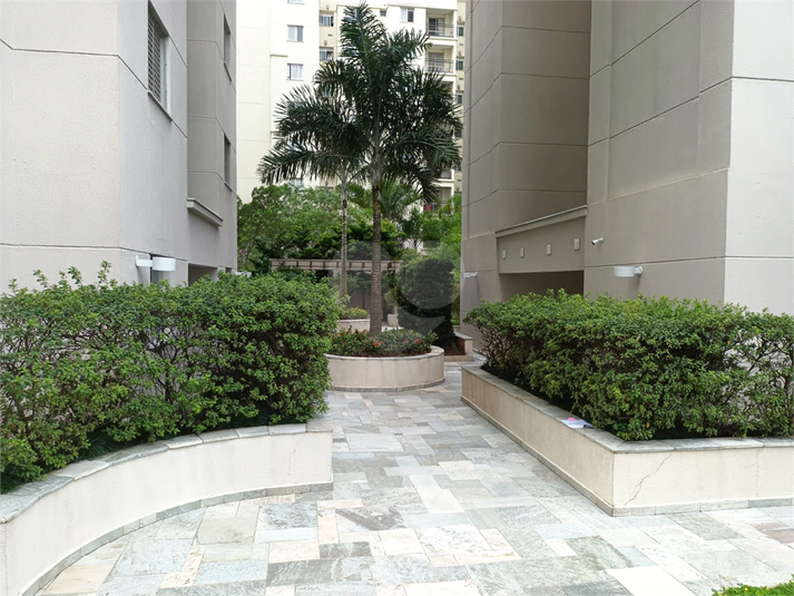 Foto REO132154