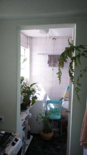 Foto REO132291