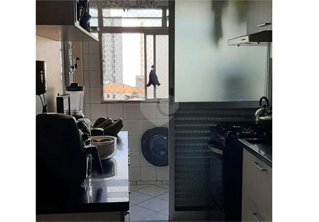 Venda Apartamento São Paulo Vila Taquari REO132544 16