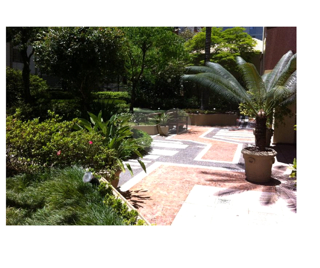 Foto REO132982
