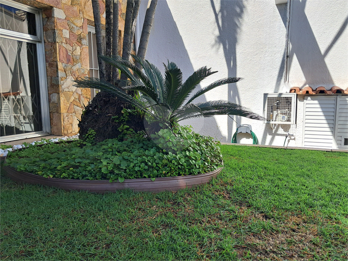 Foto REO132995