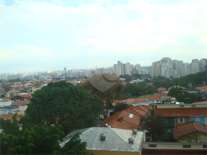 Foto REO133651