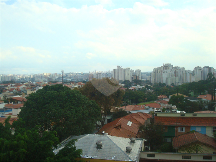 Foto REO133651