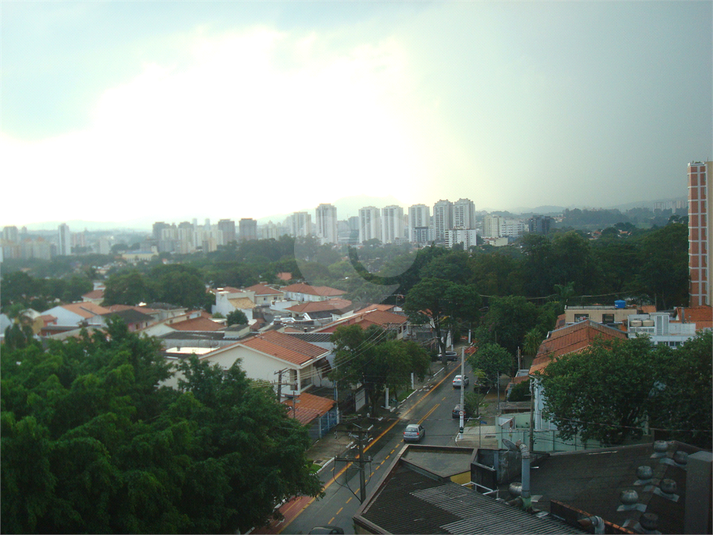 Foto REO133651
