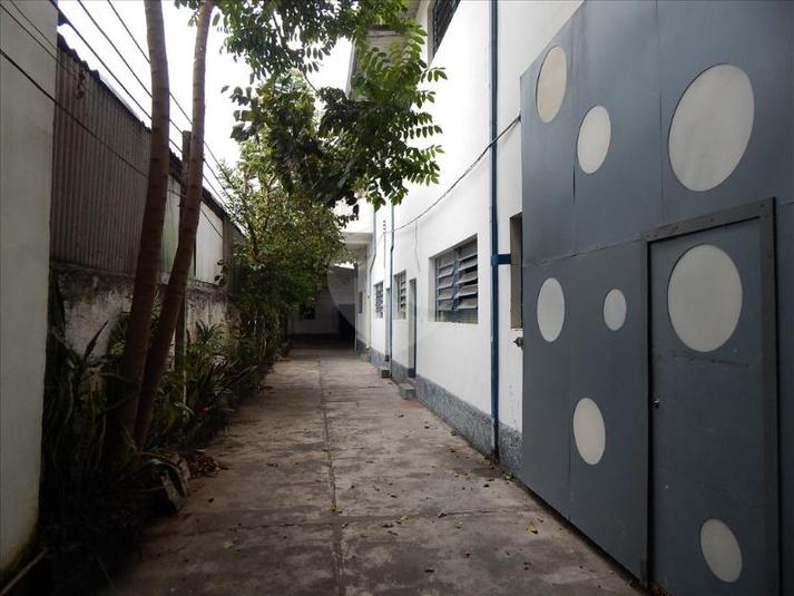Foto REO133659