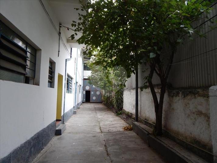 Foto REO133659