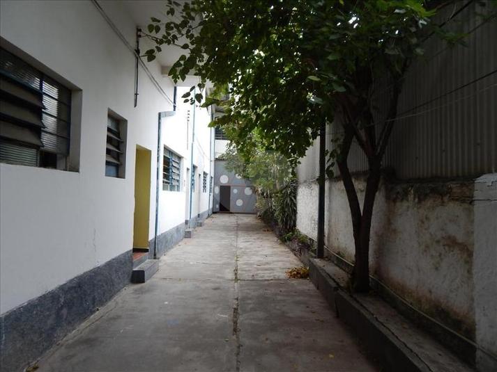 Foto REO133659