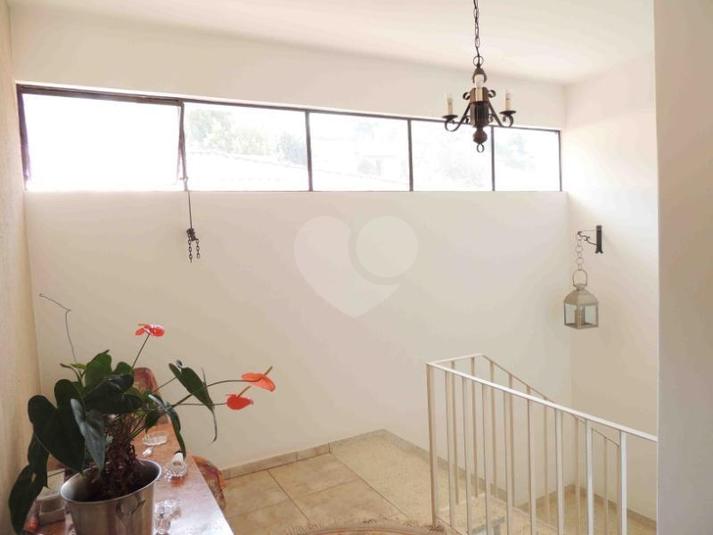 Foto REO134291