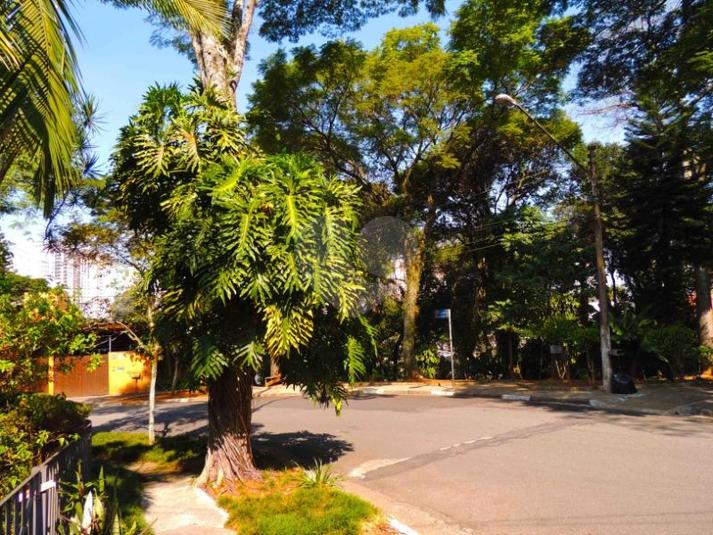 Foto REO134291