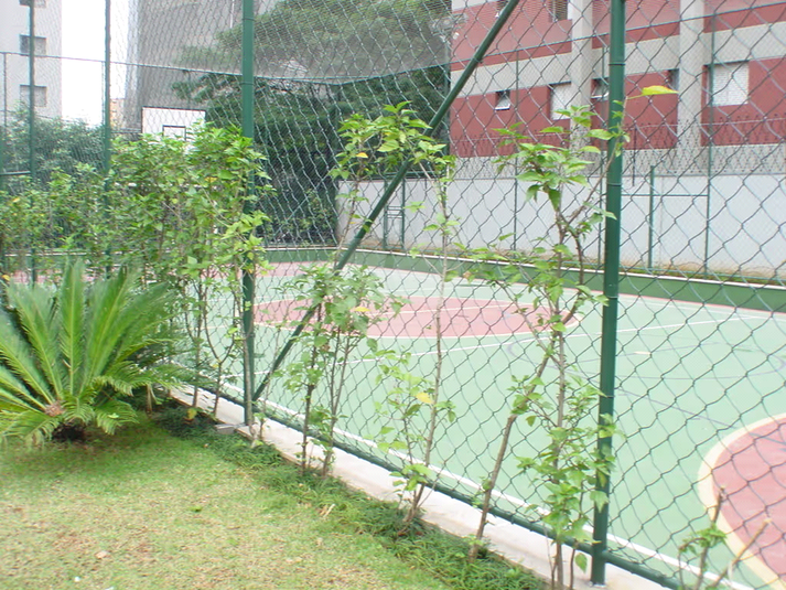 Foto REO134514