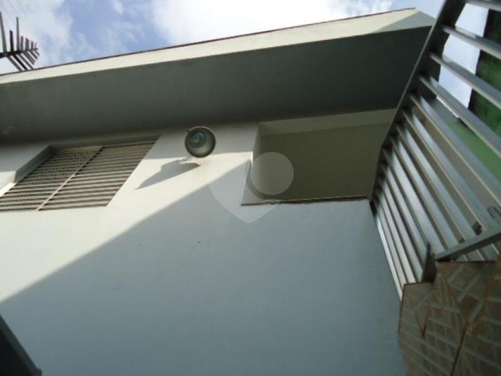 Foto REO135275