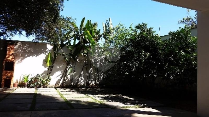 Foto REO135308