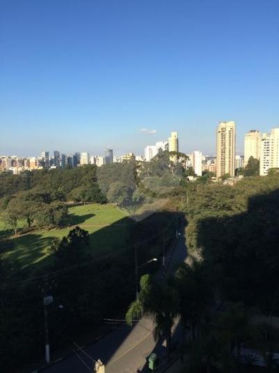 Foto REO13531