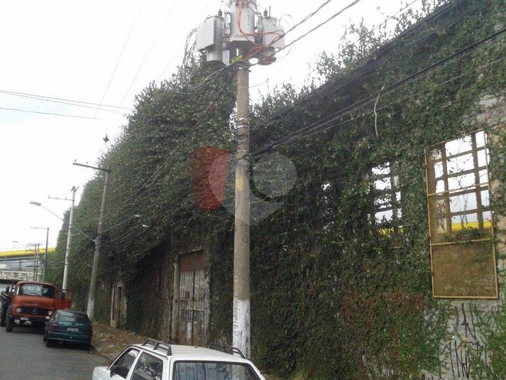 Venda Terreno São Paulo Ipiranga REO135453 8